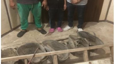 ضبط 96 قطعة أثرية داخل منزل مواطن بأسيوط