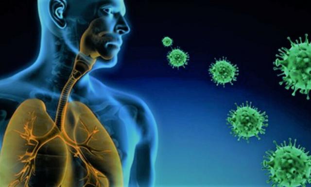 RSVفيروس تنفسي خطير 
