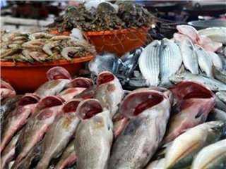 استقرار أسعار ” السمك والجمبري ” بسوق العبور اليوم