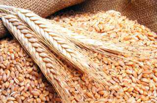 بيان هندي عاجل ومهم جدًا بشأن حظر تصدير القمح