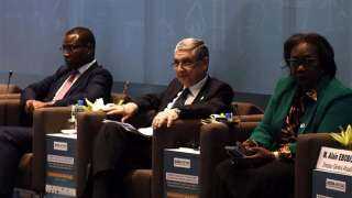 وزير الكهرباء أمام الاتحاد الإفريقي: مصر مؤهلة لتكون من أكبر منتجي الطاقة المتجددة